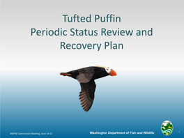 Tufted Puffin Periodic Status Review and Recovery Plan