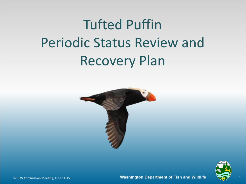 Tufted Puffin Periodic Status Review and Recovery Plan - DocsLib