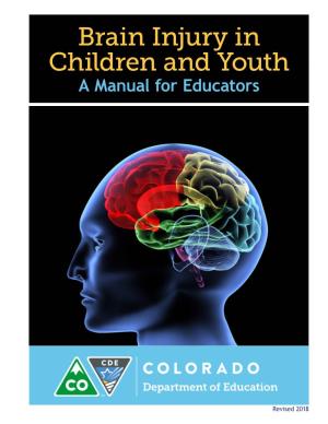 Brain Injury in Children and Youth: a Manual