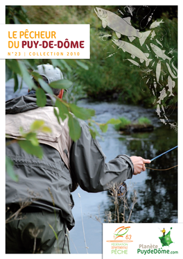 Le Pêcheur Dupuy-De-Dôme