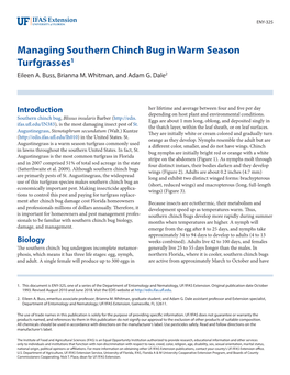 Chinch Bug in Warm Season Turfgrasses1 Eileen A