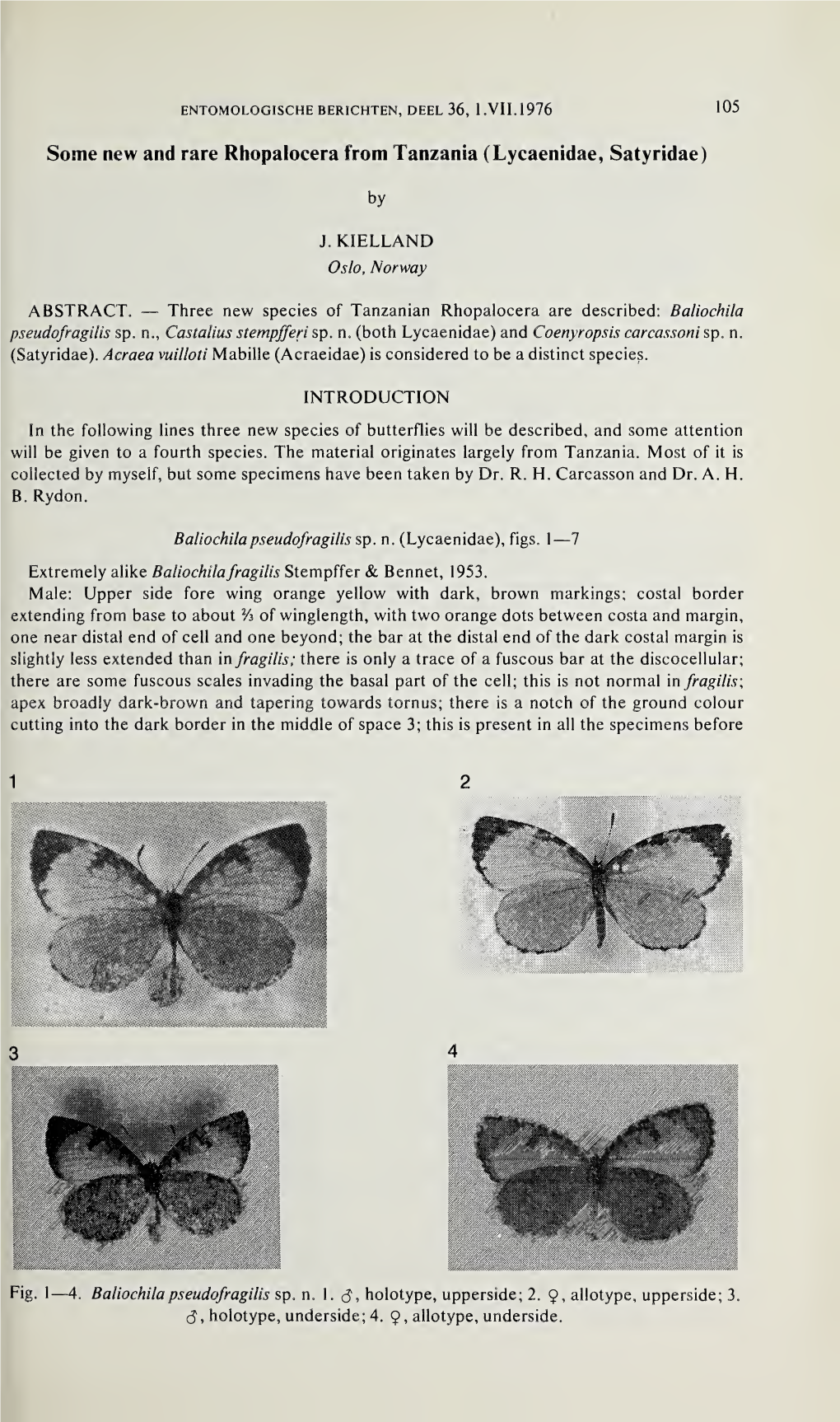 Lycaenidae, Satyridae)