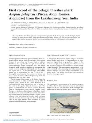 First Record of the Pelagic Thresher Shark Alopias Pelagicus (Pisces: Alopiiformes: Alopiidae) from the Lakshadweep Sea, India K.V