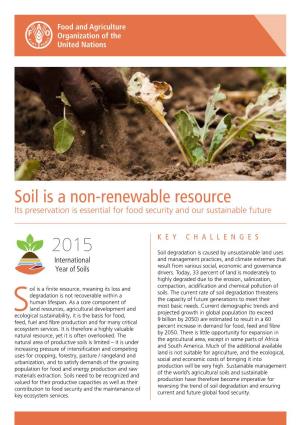 Soil Is a Non-Renewable Resource Its Preservation Is Essential for Food Security and Our Sustainable Future