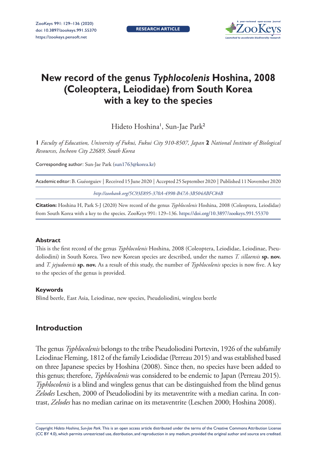 New Record of the Genus Typhlocolenis Hoshina, 2008 (Coleoptera, Leiodidae) from South Korea with a Key to the Species