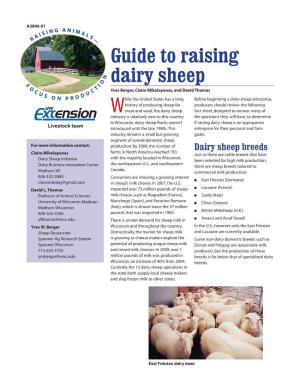 Guide to Raising Dairy Sheep