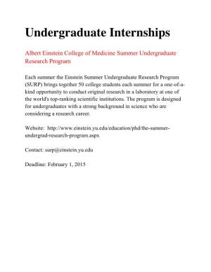 Undergraduate Internships