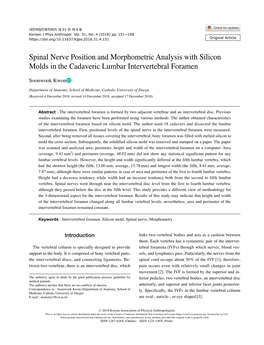 Spinal Nerve Position and Morphometric Analysis with Silicon Molds in the Cadaveric Lumbar Intervertebral Foramen