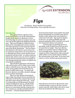 Figs Jim Kamas, Monte Nesbitt & Larry Stein Extension Fruit Specialists, Texas Agrilife Extension