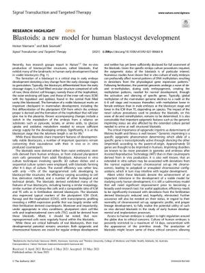 A New Model for Human Blastocyst Development