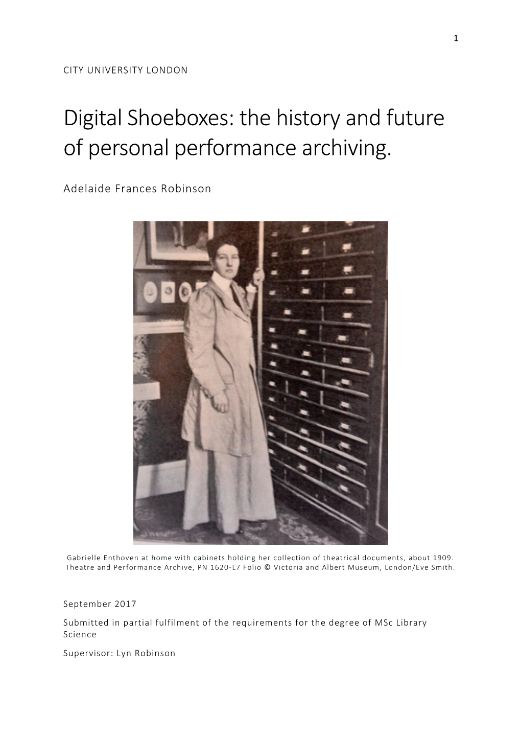 Digital Shoeboxes: the History and Future of Personal Performance Archiving