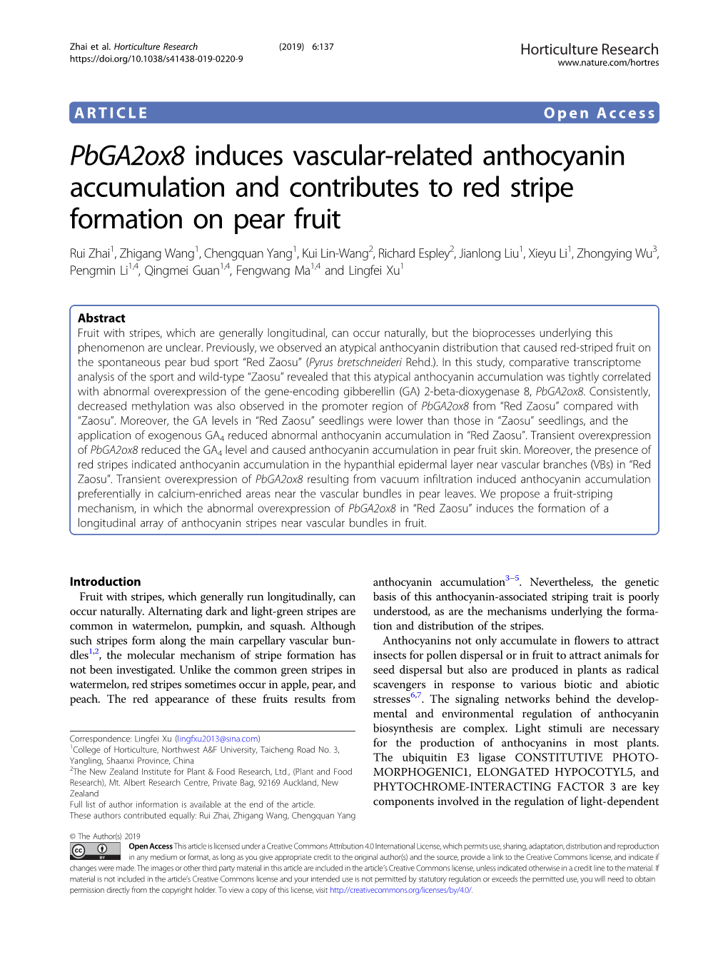 Pbga2ox8 Induces Vascular-Related Anthocyanin Accumulation And