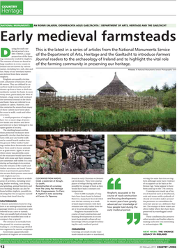 Early Medieval Farmsteads