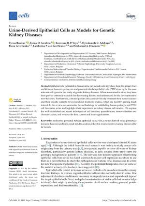 Urine-Derived Epithelial Cells As Models for Genetic Kidney Diseases