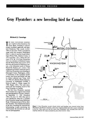 Gray Flycatcher: a New Breeding Bird for Canada