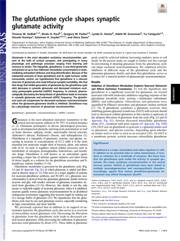 The Glutathione Cycle Shapes Synaptic Glutamate Activity