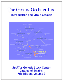 The Genus Geobacillus