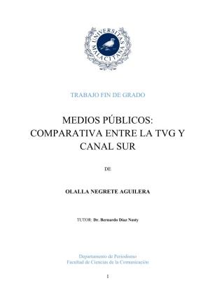 Comparativa Entre La Tvg Y Canal Sur | Trabajo Fin De Grado | Olalla Negrete