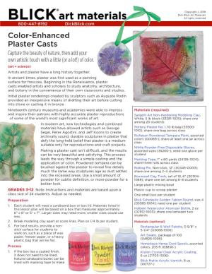 Color-Enhanced-Plaster-Casts-Nature