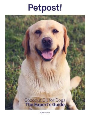 Coconut Oil for Dogs the Expert's Guide