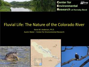 Fluvial Life: the Nature of the Colorado River Kevin M