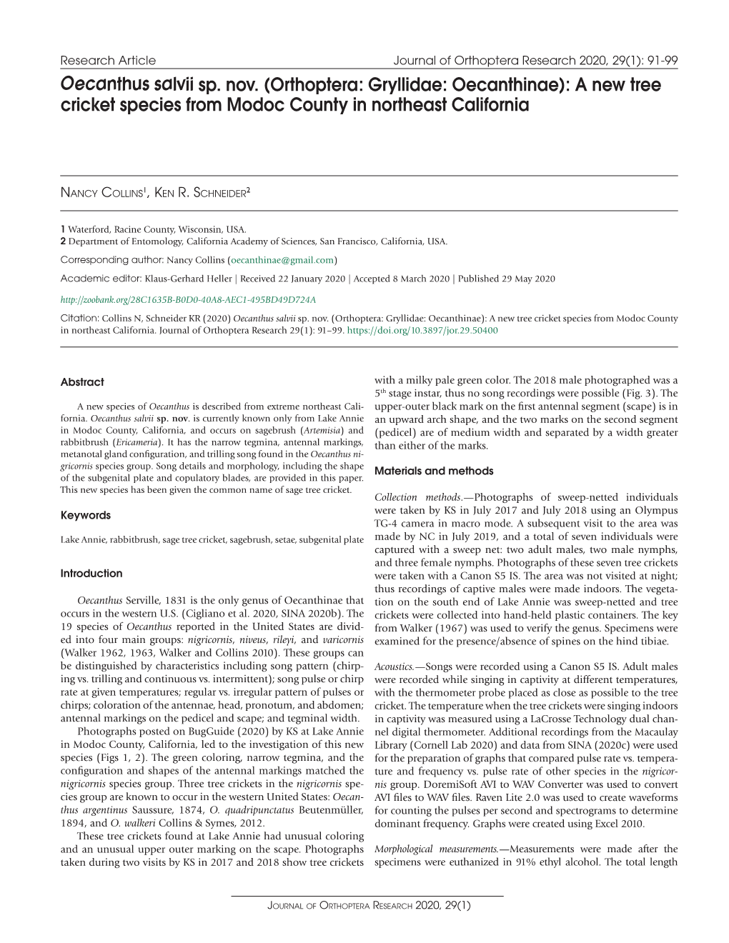 Oecanthus Salvii Sp. Nov. (Orthoptera: Gryllidae: Oecanthinae): a New Tree Cricket Species from Modoc County in Northeast California