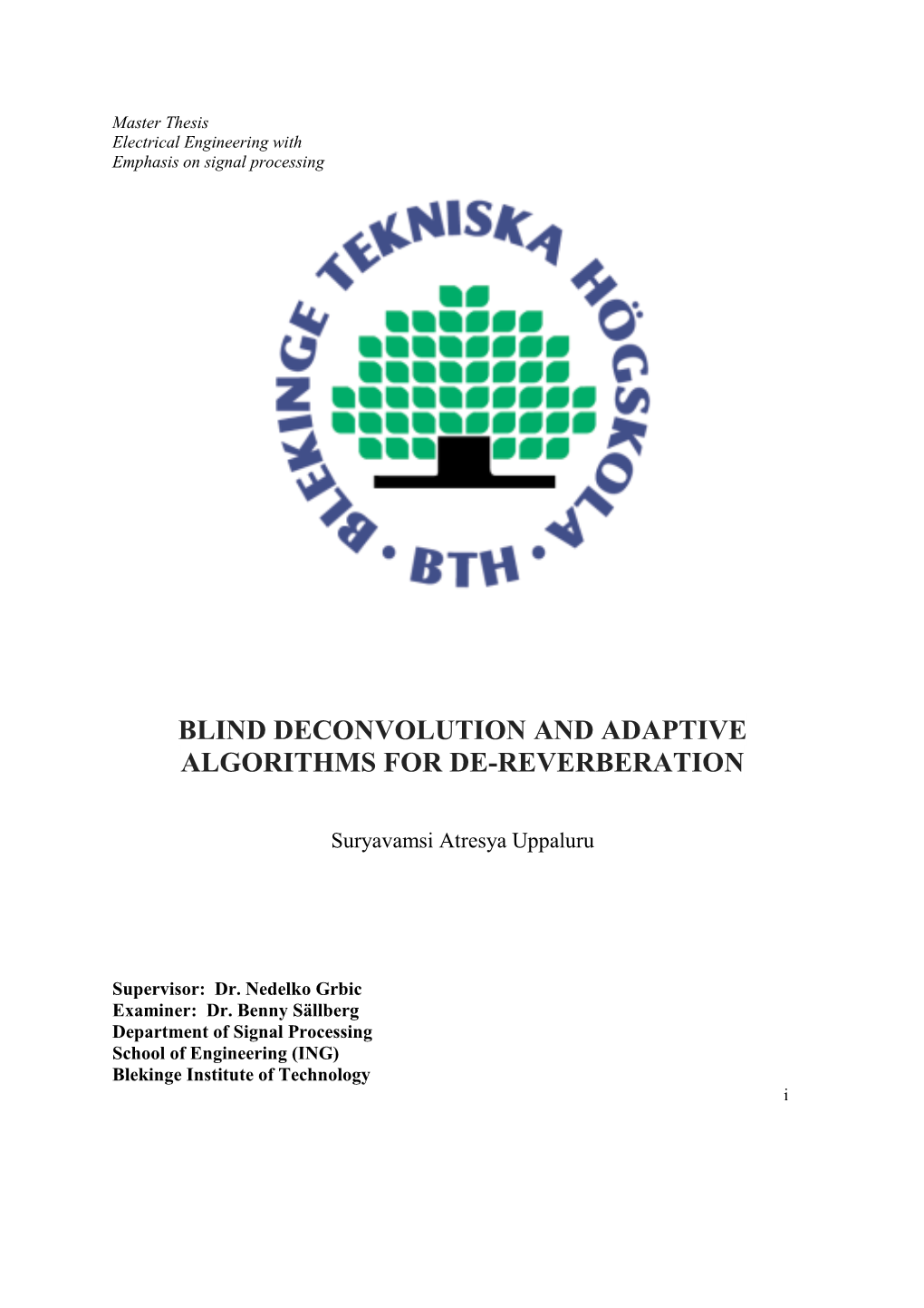Blind Deconvolution and Adaptive Algorithms for De-Reverberation