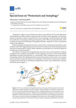 Proteostasis and Autophagy”