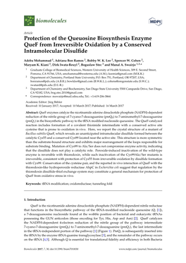 Protection of the Queuosine Biosynthesis Enzyme Quef from Irreversible Oxidation by a Conserved Intramolecular Disulﬁde