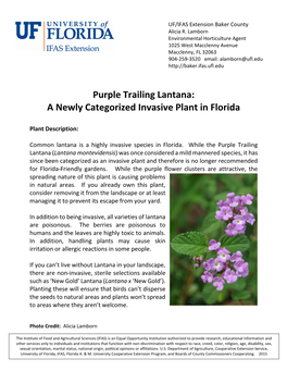 Purple Trailing Lantana: a Newly Categorized Invasive Plant in Florida