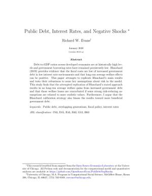 Public Debt, Interest Rates, and Negative Shocks ∗