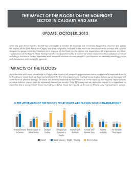 Impacts of the Floods Update