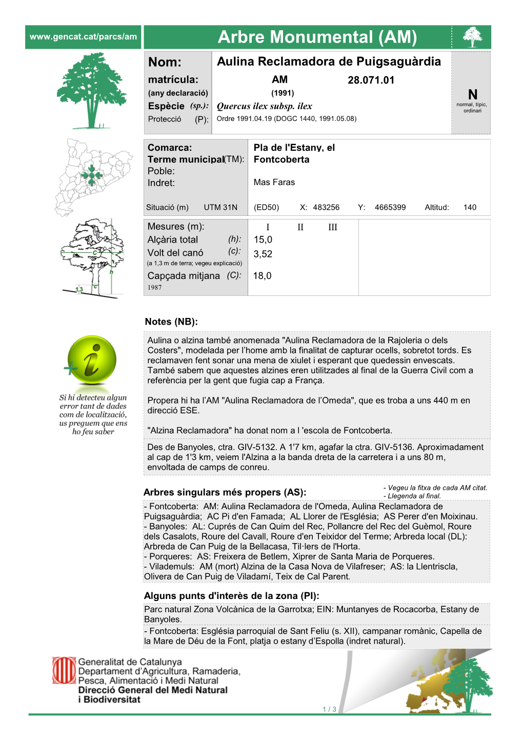 Arbre Monumental (AM) Nom: Aulina Reclamadora De Puigsaguàrdia Matrícula: AM 28.071.01 (Any Declaració) (1991) N (Sp.): Normal, Típic, Espècie Quercus Ilex Subsp