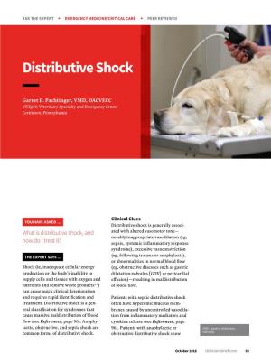 Distributive Shock