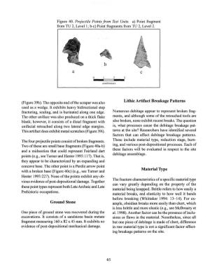 Ground Stone Lithic Artifact Breakage Patterns Material Type