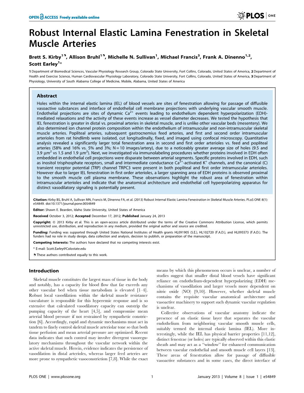 Robust Internal Elastic Lamina Fenestration in Skeletal Muscle Arteries