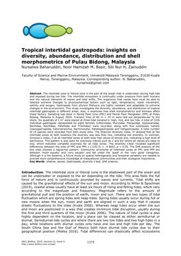 Tropical Intertidal Gastropods: Insights on Diversity, Abundance, Distribution and Shell Morphometrics of Pulau Bidong, Malaysia Nursalwa Baharuddin, Noor Hamizah M