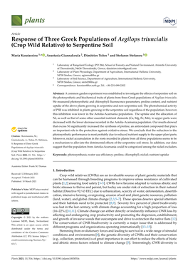 Response of Three Greek Populations of Aegilops Triuncialis (Crop Wild Relative) to Serpentine Soil