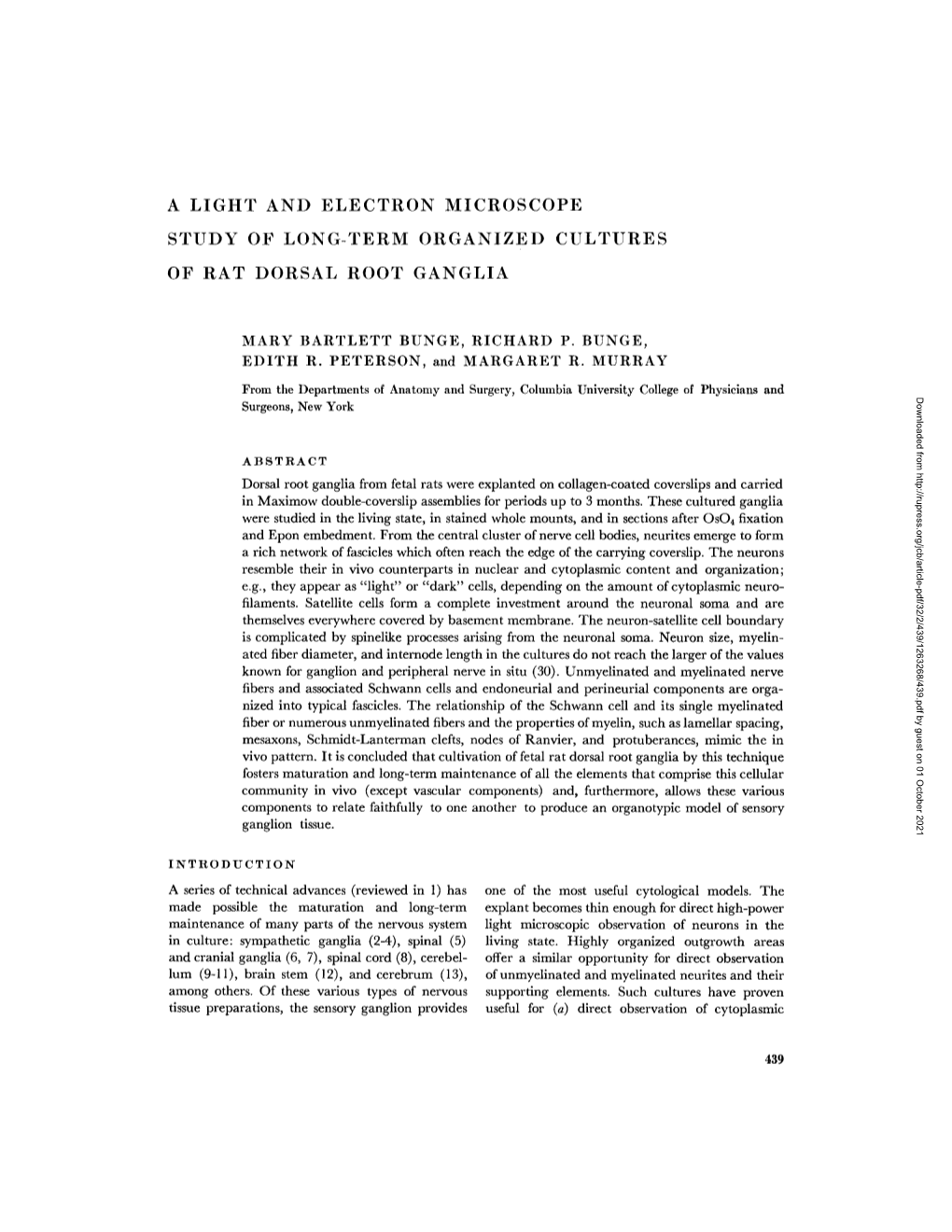 A Light and Electron Microscope Study of Long