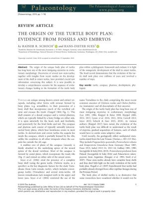 THE ORIGIN of the TURTLE BODY PLAN: EVIDENCE from FOSSILS and EMBRYOS by RAINER R