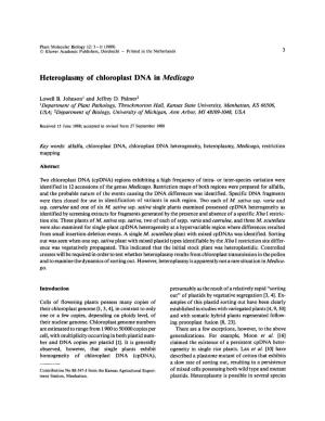 Heteroplasmy of Chloroplast DNA in Medicago