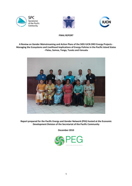 1 FINAL REPORT a Review on Gender Mainstreaming and Action