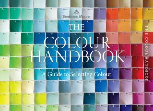 A Guide to Selecting Colour CHOOSING YOUR COLOUR Colour Really Does Make the Room