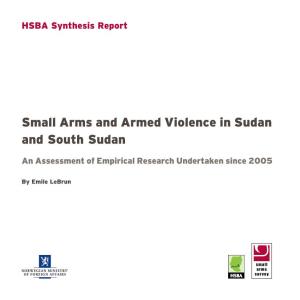 Small Arms and Armed Violence in Sudan and South Sudan