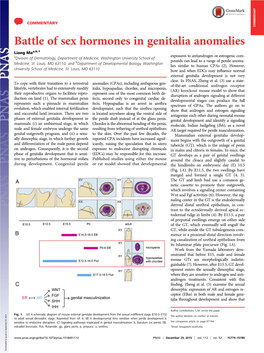 Battle of Sex Hormones in Genitalia Anomalies