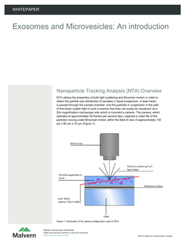 Exosomes and Microvesicles: an Introduction