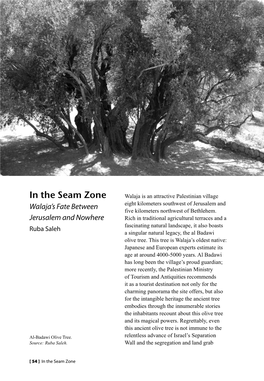 In the Seam Zone Walaja Is an Attractive Palestinian Village Walaja’S Fate Between Eight Kilometers Southwest of Jerusalem and Five Kilometers Northwest of Bethlehem