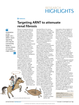 Targeting ARNT to Attenuate Renal Fibrosis Fibrosis Is an Important Driver of Interstitial Fibrosis