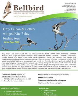 Grey Falcon & Letter- Winged Kite 7-Day Birding Tour