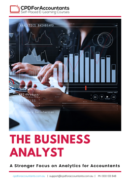 The Business Analyst